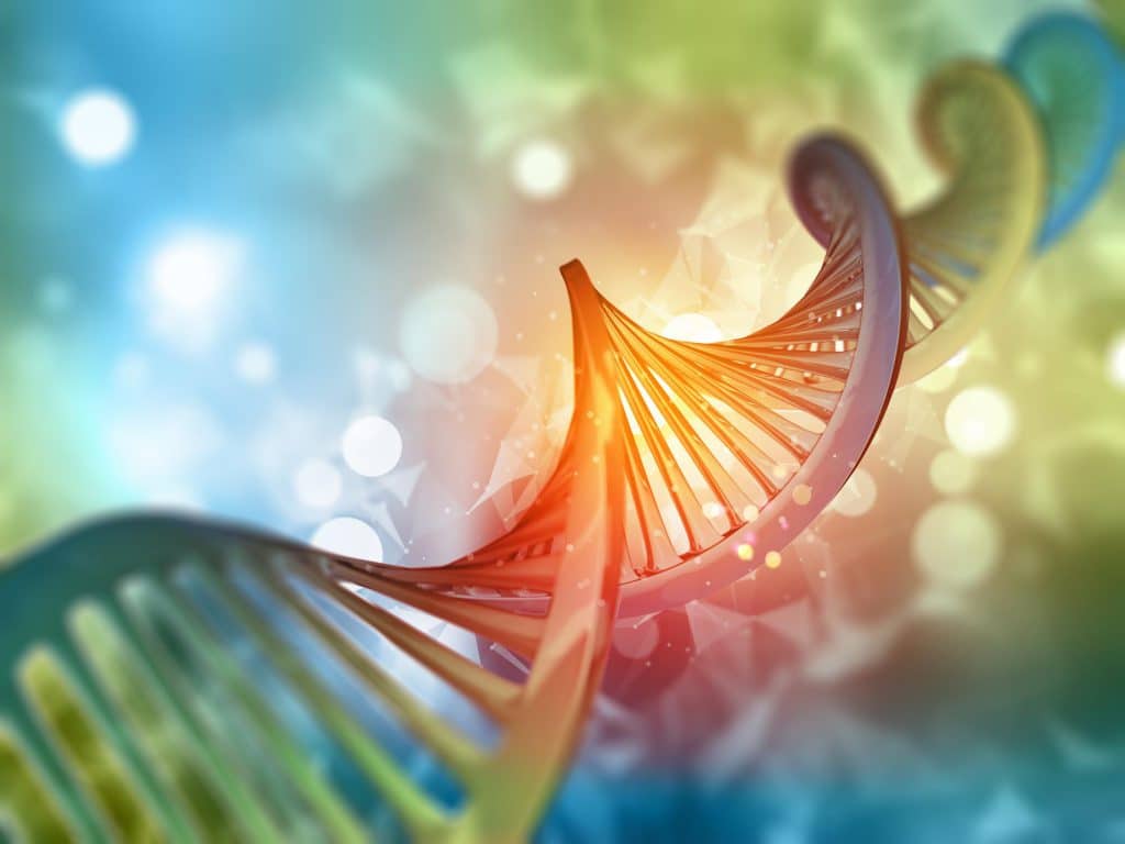 41_Company News_Mod 2_Artical 1_DNA