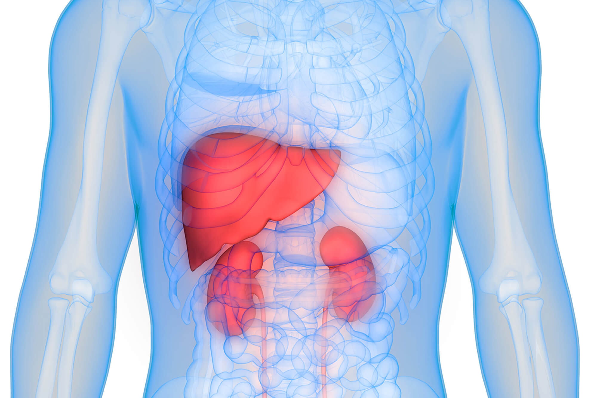Kidney Function Liver Function And C Reactive Protein Screening 
